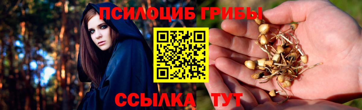 Псилоцибиновые грибы MAGIC MUSHROOMS  Вход с VPN  Галлюциногенные грибы мухоморы  Тулун 